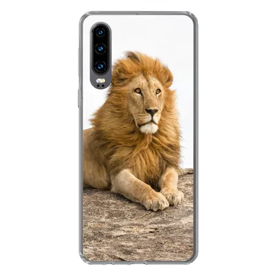 Produktbild von MuchoWow® Handyhülle Schutzhülle Hülle für Huawei P30 Löwe - Mähne - Tier Silikon Softcase Handy Hülle - Kartenbesitzer