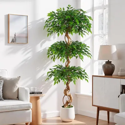 Immagine prodotto di Ficus artificiale alto 180 cm con vaso bianco, ideale per interni