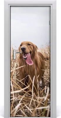 Produktbild von Tulup Türaufkleber 75x205 cm Dekorative Aufkleber Selbstklebend Wasserdichte Tapete Abnehmbar Schlafzimmer Wohnzimmer Wohnkultur - Labrador