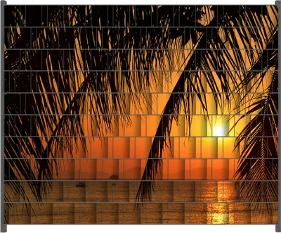 Produktbild von Wallario Zaunsichtschutz mit Motiv Sonnenuntergang unter Palmenblättern für Ein- und Doppelstabmatten Zäune in der Größe 250 x 200 cm