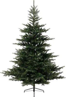 Imagen del producto de EVERLANDS Weihnachtsbaum Grandis Tanne 681452 210cm