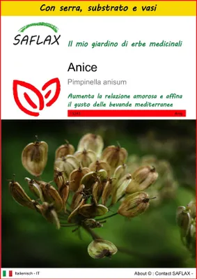 Immagine prodotto di SAFLAX Insieme di coltivazione - anice - 200 semi - Pimpinella