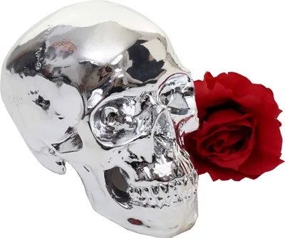 Immagine prodotto di Teschio decorativo HWC-T921, teschio scultura in poliresina, interno/esterno 18 cm argento lucido
