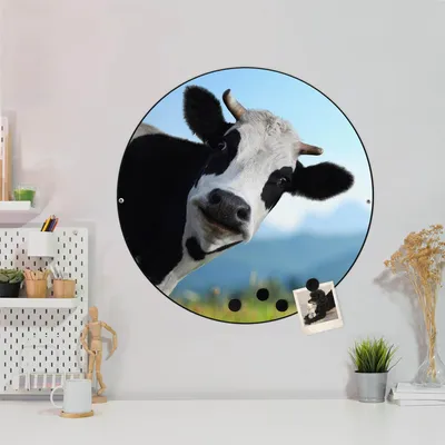 Produktbild von Design Stahlmagnettafel Schwarz Rund 47cm Neugierig