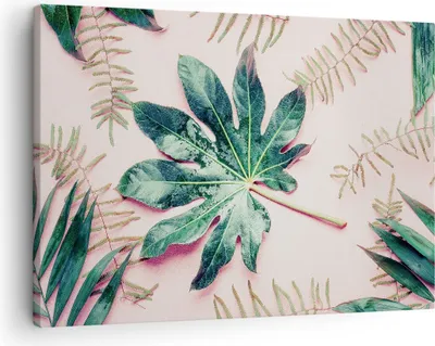 Produktbild von Bild auf Leinwand - Leinwandbild - Einteilig - Blatt Tropisch Palme - 70x50cm - Wand Bild - Wanddeko - Wandbilder - Leinwanddruck - Bilder - Wanddekoration - Leinwand bilder - Wandbild - AA70x50-4314