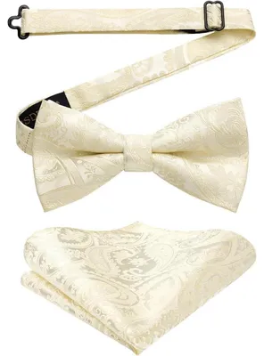Imagen del producto de Pañuelo de bolsillo para hombre, ajustable, para esmoquin, boda, champán, modelo 1