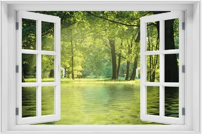 Produktbild von Wallario Wandbild mit Fenster-Illusion: Idyllischer See im Wald bei Sonnenschein, Größe: 61 x 91,5 cm, Poster mit weißem Aluminiumrahmen