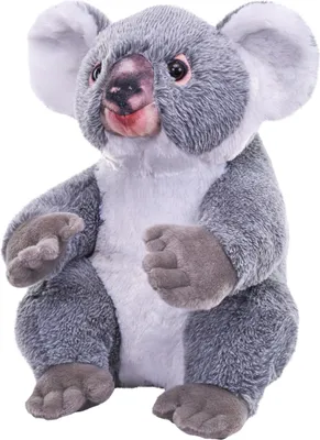 Produktbild von Wild Republic Koala Bar Pluschtier - 30 cm - Plusch - Australisch