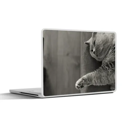 Produktbild von MuchoWow® Laptop Aufkleber Sticker Cover Katze auf dem Sofa liegend 31x22.5 cm - Laptop-Deko