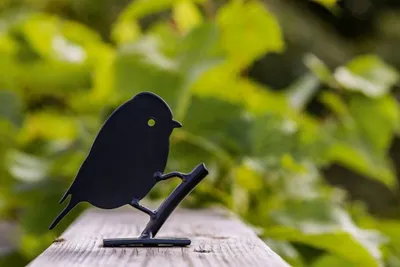 Produktbild von Silhouette Blaumeise aus Eisen, Breite 12 cm, Höhe 3 cm, für Innen- und Außenbereich