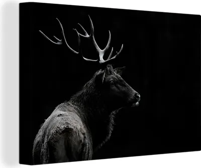 Obrázek produktu pro OneMillionCanvasses® - Obrazy na plátně - 140x90 cm, Jelen - Černá - Portrét - Parohy - Zvířata, Nástěnné umění tisk Nástěnná dekorace - Fotografie na plátně - Obraz na dřevěném rámu