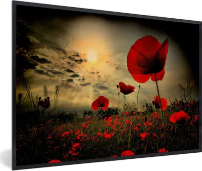 Produktbild von MuchoWow® Gerahmtes Poster Mohnblumen am Abend 30x20 cm - Poster mit Schwarzem Bilderrahmen Wandposter Rahmen Foto Bilder - Kunstdruck - Bild-Poster