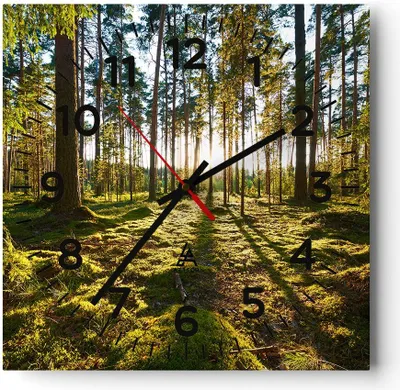 Produktbild von Wanduhr - Quadrat - Glasuhr - Wald Baum Natur - 30x30cm - Schleichendes Uhrwerk - Lautlos - zum Aufhängen bereit - Dekoration Modern - Wanddekoration aus Glas - C4AC30x30-3724