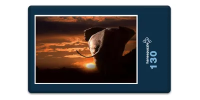 Produktbild von hansepuzzle 18284 - Elefant Puzzle, 130 Teile, Natur, 28,7 x 20,0cm mit hochwertiger Aufbewahrung, Kartonbox und wiederverschließbarem Beutel