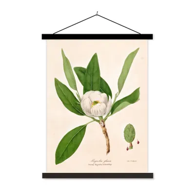Produktbild von MuchoWow® Textilposter Blumen - Magnolie - Vintage 60x80 cm mit schwarzem Rahmen - Plakathalter