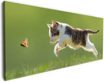 Produktbild von Wallario Premium Leinwandbild Süße Katze fängt Schmetterling im Grünen in Größe 60 x 150 cm