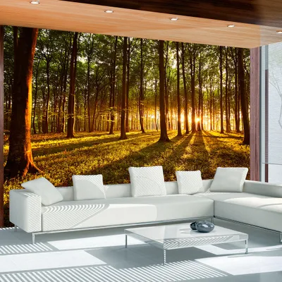 Produktbild von Fototapete selbstklebend Wald 343x256 cm Tapete Wandtapete Wandbilder Klebefolie Dekofolie Tapetenfolie Wand Dekoration Wohnzimmer - Landschaft Natur c-B-0027-a-c