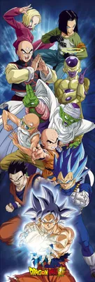 Produktbild von DRAGON BALL SUPER - Door Poster - Group (53x158)