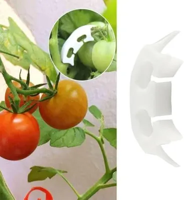 Produktbild von 150 weiße Pflanzenclips aus Kunststoff zur Befestigung und Unterstützung von Gemüseranken und Tomatenstielen im Gemüsegarten der Tomatenfarm