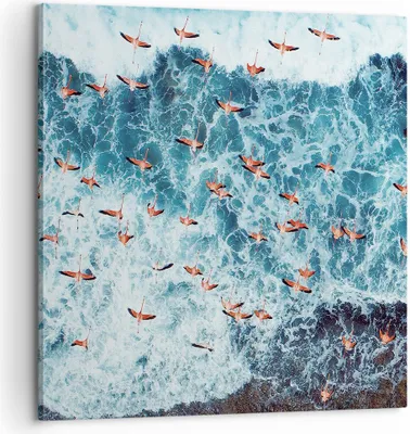 Produktbild von Bild auf Leinwand - Leinwandbild - Einteilig - Flamingos Karibik Vögel - 60x60cm - Wand Bild - Wanddeko - Wandbilder - Leinwanddruck - Bilder - Wanddekoration - Leinwand bilder - AC60x60-5013
