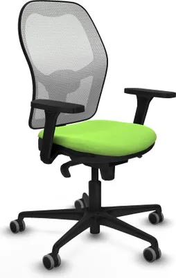 Image de Bürostuhl Piqueras y Crespo 3D036G0 Pistazienfarben