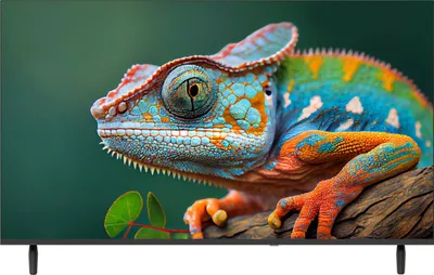 Immagine prodotto di New Majestic FL40VD FHD V1 101,6 cm (40") Full HD Smart TV Wi-Fi Nero 190 cd/m²