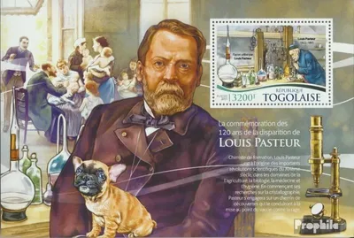 Produktbild von Briefmarken Togo 2015 Mi Block 1180 (kompl. Ausgabe) postfrisch Louis Pasteur