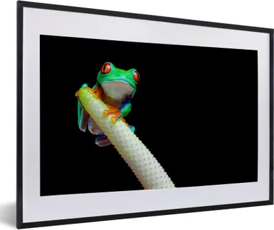 Produktbild von MuchoWow® Gerahmtes Poster Frosch - Tier - Pflanze 60x40 cm - Poster mit Schwarzem Bilderrahmen Wandposter Rahmen Foto Bilder - Schlafzimmer - Plakat in Rahmen - Drucken