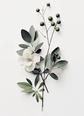 Produktbild von Plakat 13x18cm Papierblume