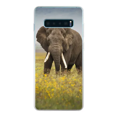 Produktbild von MuchoWow® Handyhülle Schutzhülle Hülle für Samsung Galaxy S10 Plus Elefant - Blumen - Gras - Tiere - Natur Silikon Softcase Handy Hülle - Schutzhülle