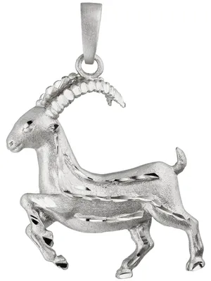Produktbild von Anhänger Sternzeichen Steinbock aus 925 Silber, Halsschmuck rhodiniert teilmatt