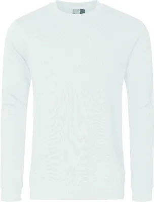 Produktbild von Sweatshirt 80-20 Herren, Wilde Limette, M