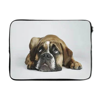 Produktbild von MuchoWow® Laptop Hülle 13 Zoll Hund - Haustiere - Weiß Laptoptasche - Laptophülle - Sleeve - Rundumschutz