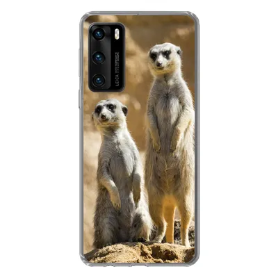 Produktbild von MuchoWow® Handyhülle Schutzhülle Hülle für Huawei P40 Felsen - Erdmännchen - Tiere Silikon Softcase Handy Hülle - Handytasche