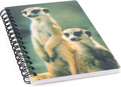 Produktbild von 3D Notizbuch - Erdmännchen - klein