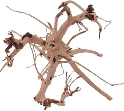 Produktbild von M Siennawurzel Nr.1354 Wurzel Holz Aquarium Deko Aquascaping