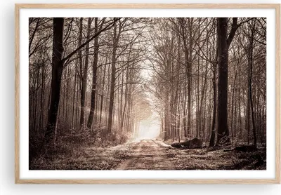 Produktbild von Gerahmtes Poster - Rahmen in heller Eiche - Wald Straße Baum - 91,5x61 cm - Wand Bild - Wanddeko - Wandbilder - Kunstposter - Wandposter - Bilderrahmen - Bilder - Kunstdruck - Wandbild P2NAA91x61-3620