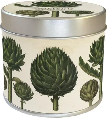 Image de Bougie parfumée 163 - artichaut citron