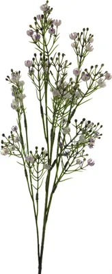 Produktbild von artplants.de Dekoblume Schleierkraut LINFENG, lila, 70 cm - Künstliche Blume