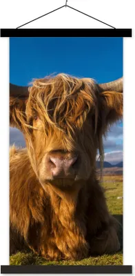 Produktbild von MuchoWow® Textilposter Schottische Hochlandrind - Tiere - Gras 60x120 cm mit schwarzem Rahmen - Magnete
