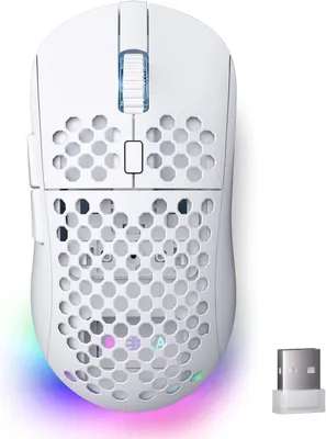 Immagine prodotto di Mouse da gioco wireless Dierya M1 Sensore da 24.000 DPI, peso leggero 90 g, 6 tasti programmabili, RGB, batteria da 180 ore, 2,4 GHz/Bluetooth/USB-C PC