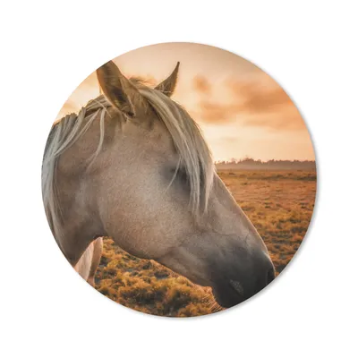 Produktbild von MuchoWow® Mauspad Mousepad Pferd - Tiere - Porträt 20x20 cm - Mousepads - Maus Mat - Pad - Mausunterlage - Schreibtischmatte