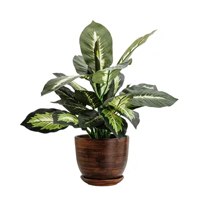 Obrázok produktu pre Keramický kvetináč okrúhly s podšálkou tmavohnedý 13 cm s drenážnym otvorom