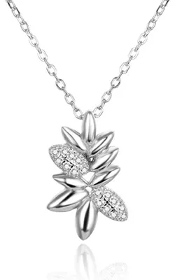 Image de Collier en argent avec pendentif AGS1149/60 (chaîne, pendentif).