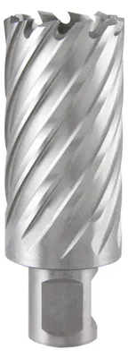 Obrázek produktu pro RUKO jádrový vrták HSS-Co 5 s upínáním Weldon (3/4") 55,0 mm