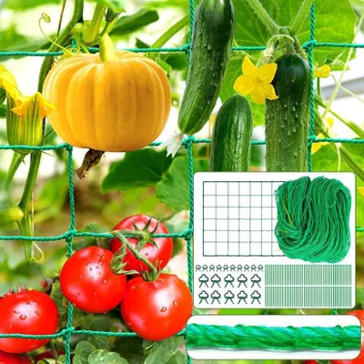 Obrázok produktu pre Popínavá sieť 2 m x 10 m, pre záhradu, nylon, 100 úväzkov na rastliny, 20 klipov
