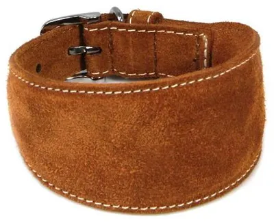 Produktbild von Das Lederband Windhundhalsband Toronto Cognac, Länge: 55 cm