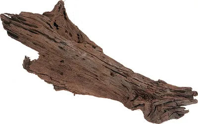 Image de Bois de mangrove pour aquarium Flamingo, dimensions : 30 à 45 cm