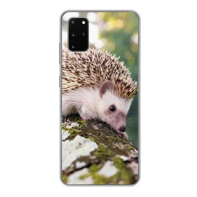 Produktbild von MuchoWow® Handyhülle Schutzhülle Hülle für Samsung Galaxy S20 Plus Baby - Igel - Baum Silikon Softcase Handy Hülle - Hartschale