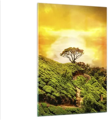 Produktbild von Bilder auf glas - Einteilig - Berg Baum Pfad Hügel - 80x120cm - Glasbilder - Wandbilder - Bilder - zum Aufhängen bereit - Wanddekoration aus Glas - Glas Bilder - Wandbild auf Glas - GPA80x120-2715